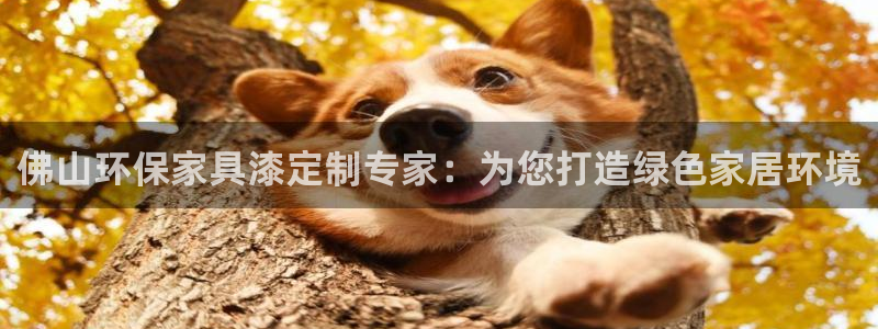 杏耀测速登录地址