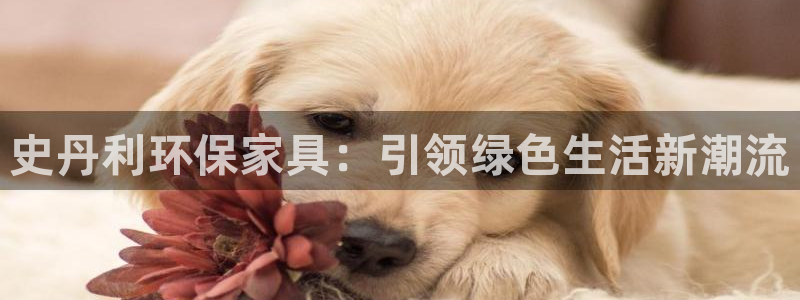 杏耀代理注册
