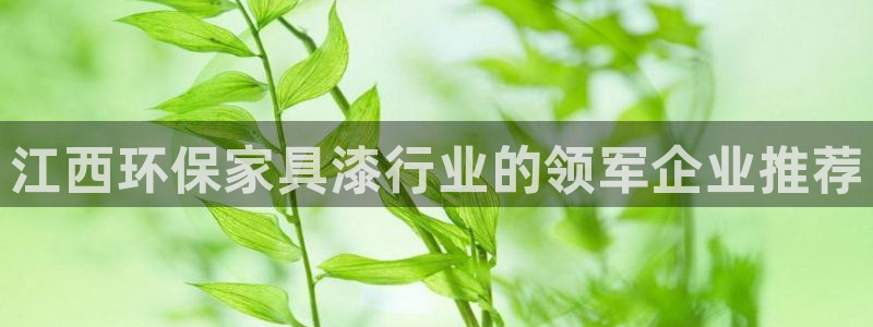 杏耀代理日工资多少