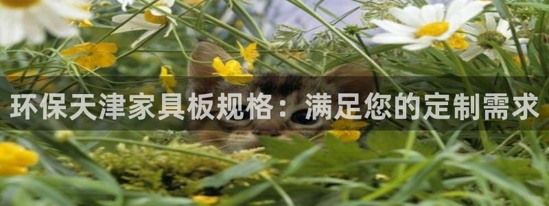 杏耀平台登陆测速