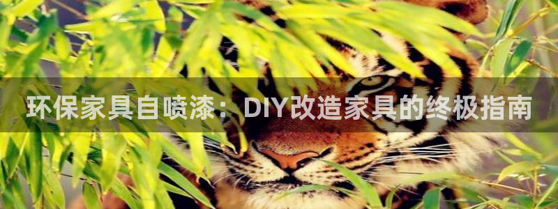 杏耀平台代理怎么赚钱
