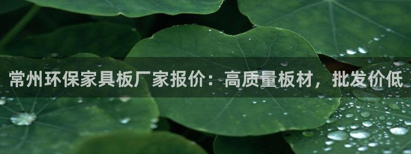 杏耀总代理