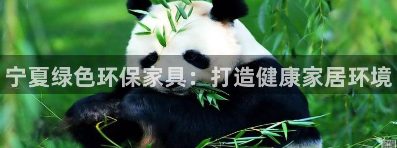 杏耀开户app下载