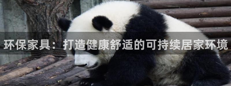 杏耀平台的专用通道