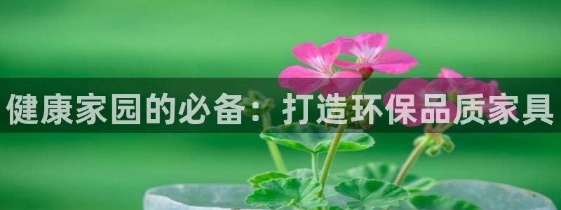杏耀平台登陆测速