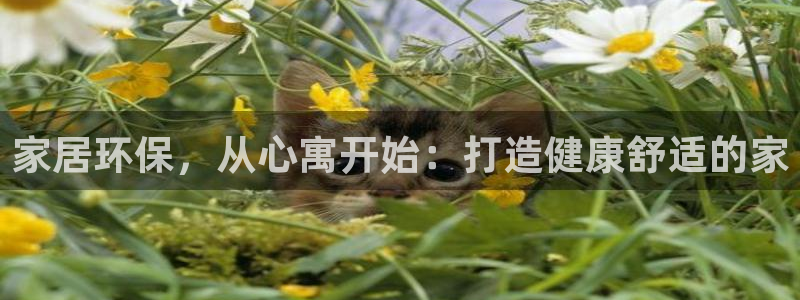 杏耀3代理