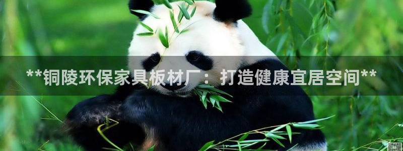 杏耀平台没有了