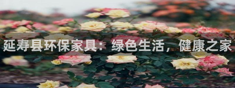 杏耀平台线路测速