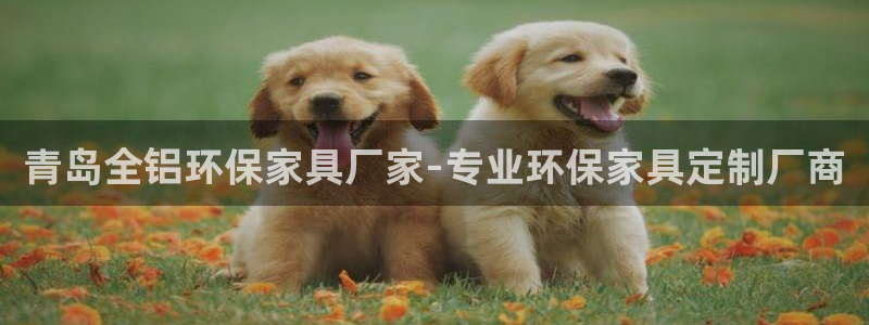 杏耀代理官网