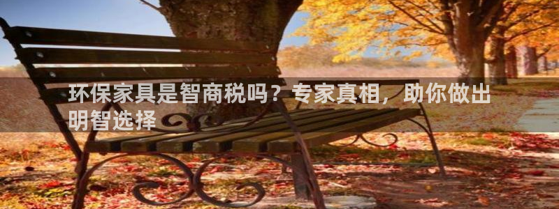 杏耀代理主管qq