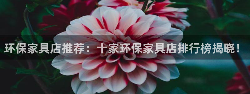 杏耀平台登陆测速