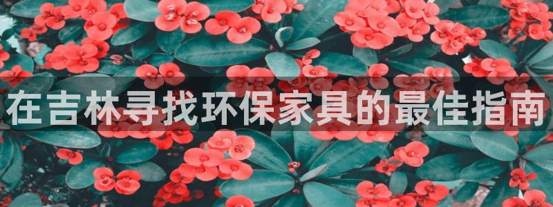 杏耀网页手机登录：在吉林寻找环保家具的最佳指南