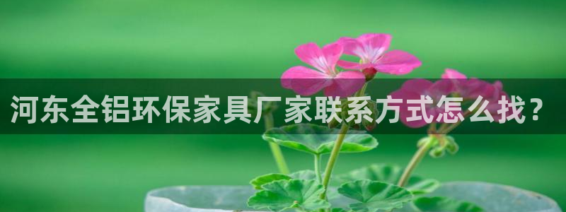 杏耀平台手机