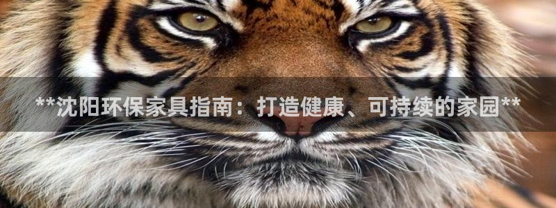 杏耀测速娱乐：**沈阳环保家具指南：打造健康、可持续的家园*