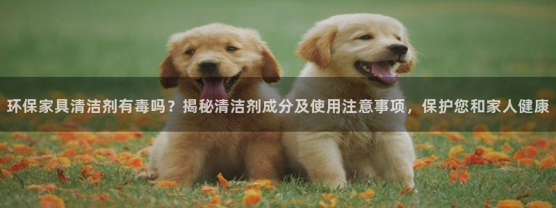 杏耀平台测
