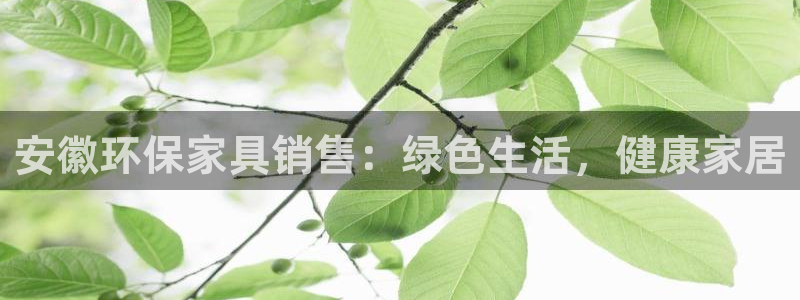杏耀平台官方网站：安徽环保家具销售：绿色生活，健康家居