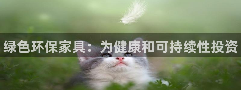 杏耀官方：绿色环保家具：为健康和可持续性投资