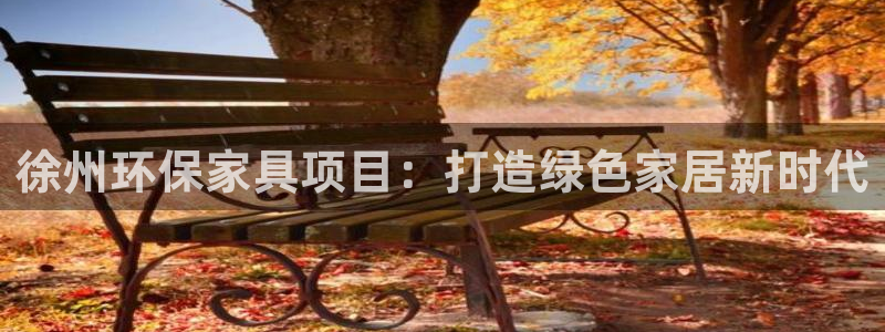 杏耀平台注册：徐州环保家具项目：打造绿色家居新时代