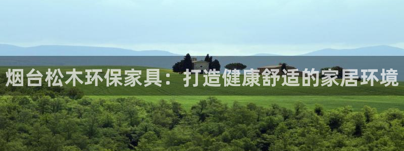 杏耀测速网址电脑版：烟台松木环保家具：打造健康舒适的家居环境