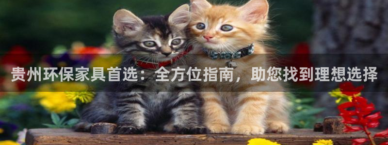 杏耀主管qq：贵州环保家具首选：全方位指南，助您找到理想选择