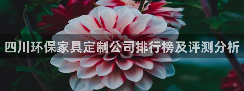 杏耀平台官网