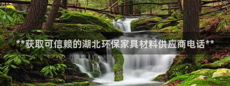 杏耀软件