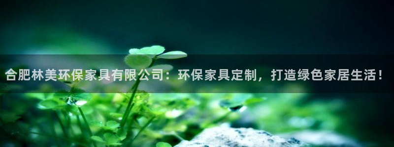 杏耀平台登陆官网：合肥林美环保家具有限公司：环保家具定制，打