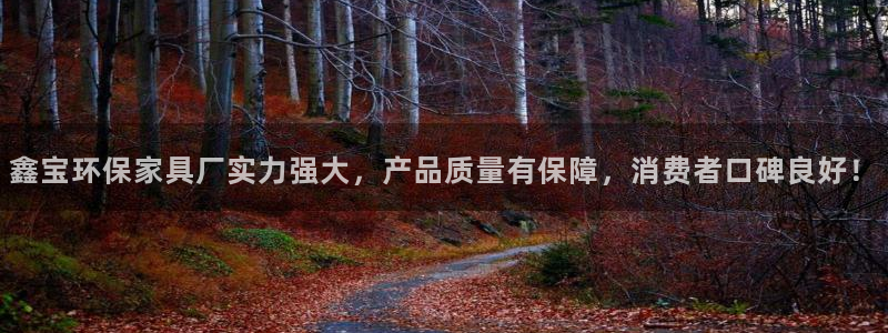 杏耀网页手机登录：鑫宝环保家具厂实力强大，产品质量有保障，消