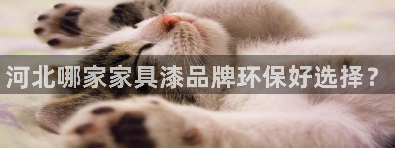 杏耀平台主管：河北哪家家具漆品牌环保好选择？