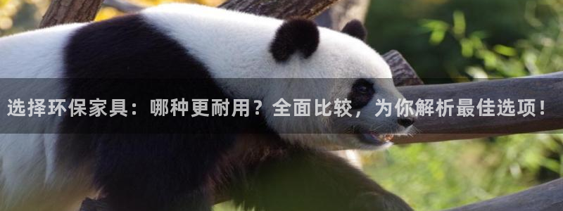 杏耀平台招商的流程：选择环保家具：哪种更耐用？全面比较，为你