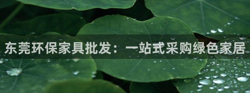 杏耀平台靠谱吗：东莞环保家具批发：一站式采购绿色家居