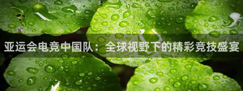 雷火电竞可靠吗：亚运会电竞中国队：全球视野下的精彩竞技盛宴
