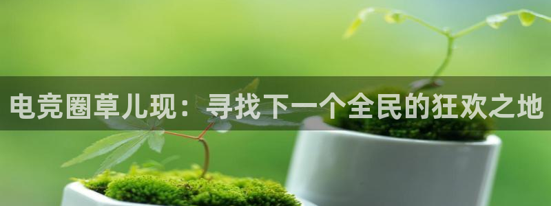雷火电竞风控：电竞圈草儿现：寻找下一个全民的狂欢之地