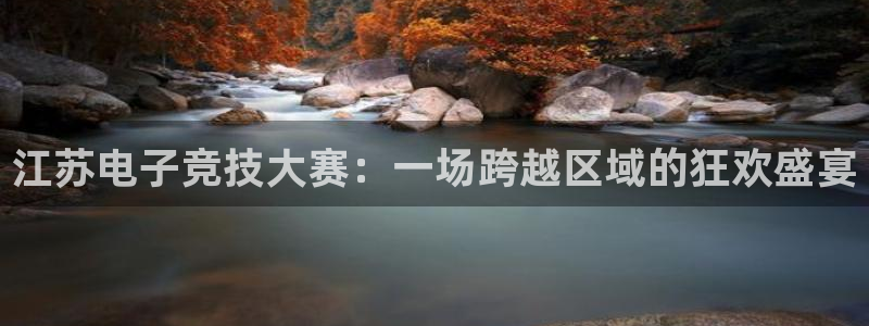 雷火电竞官网首页登录：江苏电子竞技大赛：一场跨越区域的狂欢盛宴