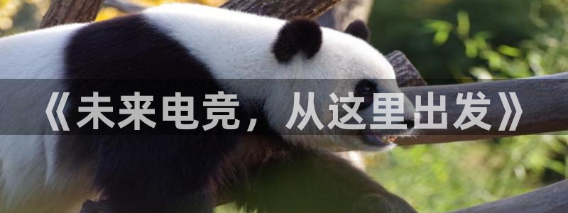 雷火电竞亚洲官网：《未来电竞，从这里出发》