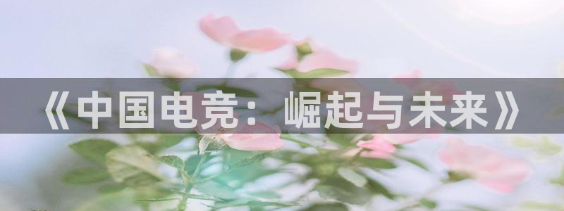 雷火电竞网页登录口下载