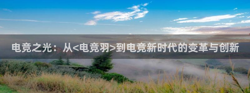 雷火电竞app