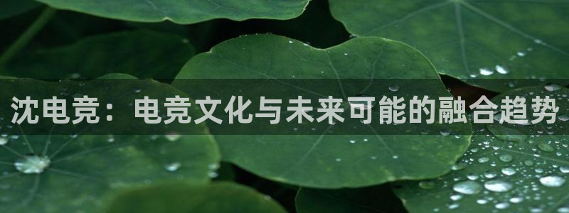 雷火电竞是干什么的：沈电竞：电竞文化与未来可能的融合趋势