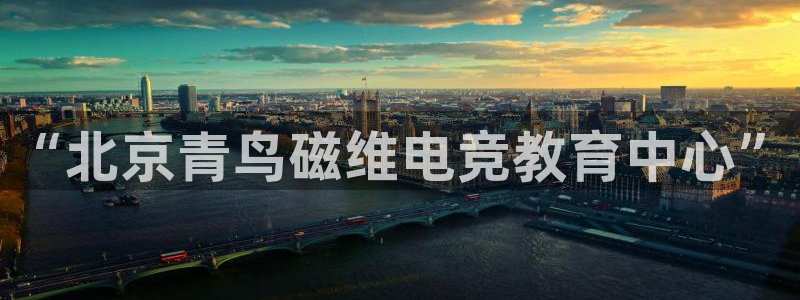 雷火电竞入口官网：“北京青鸟磁维电竞教育中心”