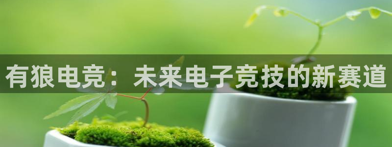 雷火电竞直播：有狼电竞：未来电子竞技的新赛道