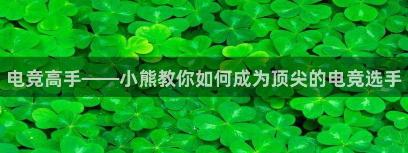 雷火电竞官网app：电竞高手——小熊教你如何成为顶尖的电竞选手