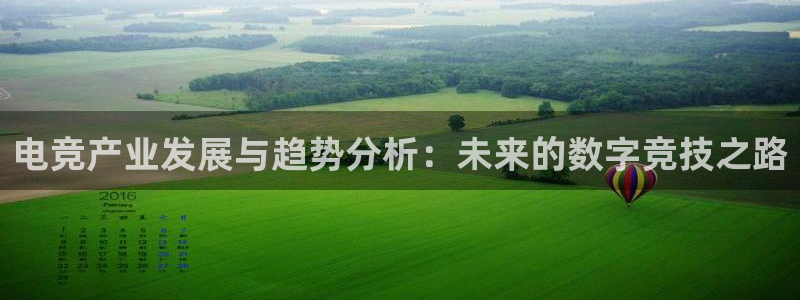 雷火电竞下载：电竞产业发展与趋势分析：未来的数字竞技之路