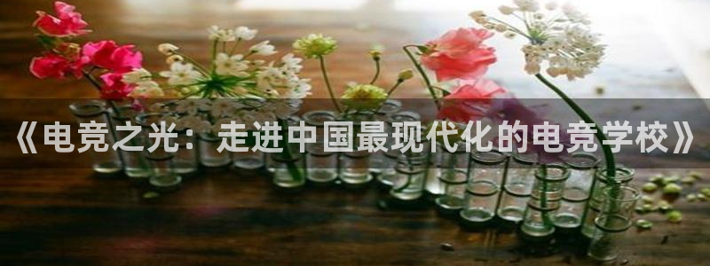 雷火电竞官网：《电竞之光：走进中国最现代化的电竞学校》