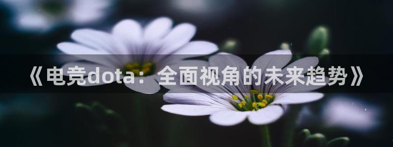 雷火电竞官网在线：《电竞dota：全面视角的未来趋势》