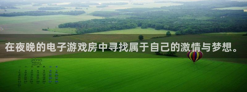 雷火电竞入口官网：在夜晚的电子游戏房中寻找属于自己的激情与梦想。