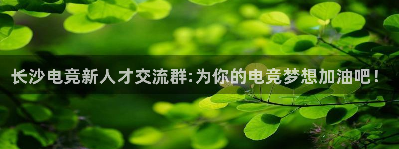 雷火电竞下载：长沙电竞新人才交流群:为你的电竞梦想加油吧！