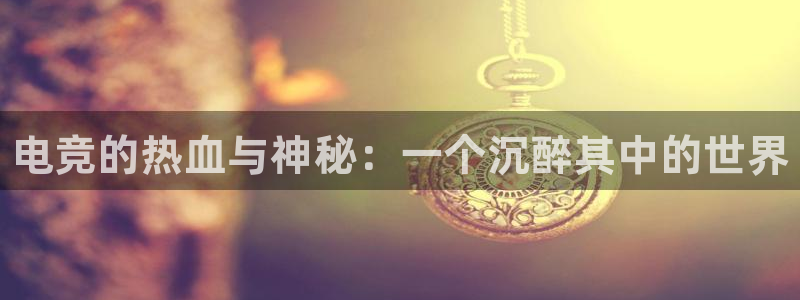 雷火电竞平台入口：电竞的热血与神秘：一个沉醉其中的世界