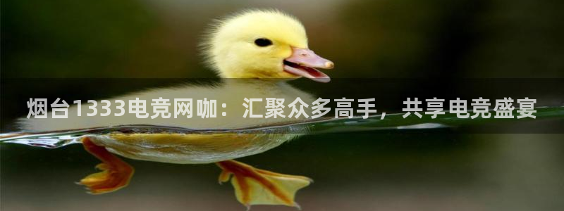 雷火电竞热门赛事有哪些