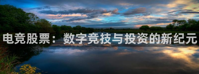 雷火电竞app官网入：电竞股票：数字竞技与投资的新纪元