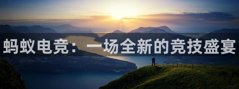 雷火电竞是什么：蚂蚁电竞：一场全新的竞技盛宴
